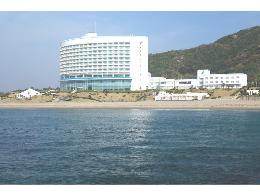 �G�[�XJTB�F�ɗǌ΃V�[�p�[�N���X�p